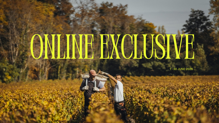 Online Exclusive