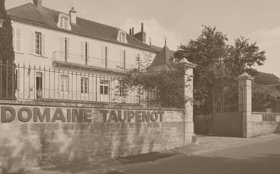 Taupenot Merme