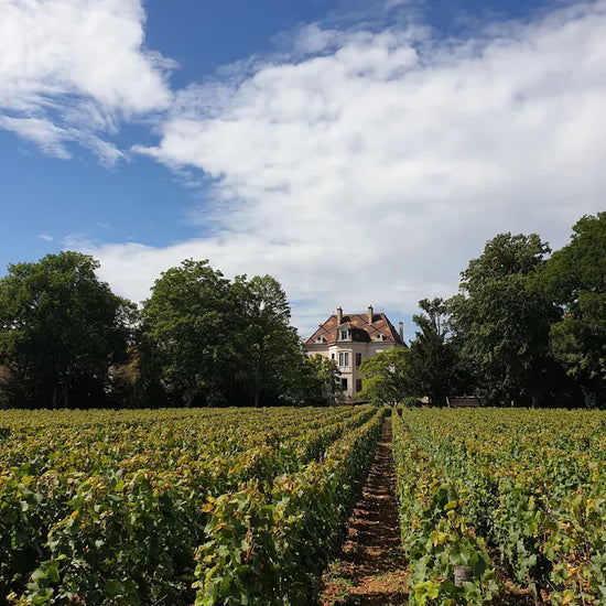 Comtes Lafon