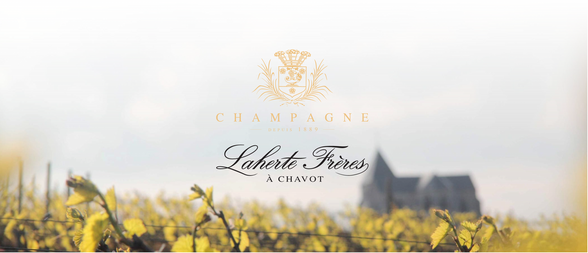 Champagne Lahertes tasting