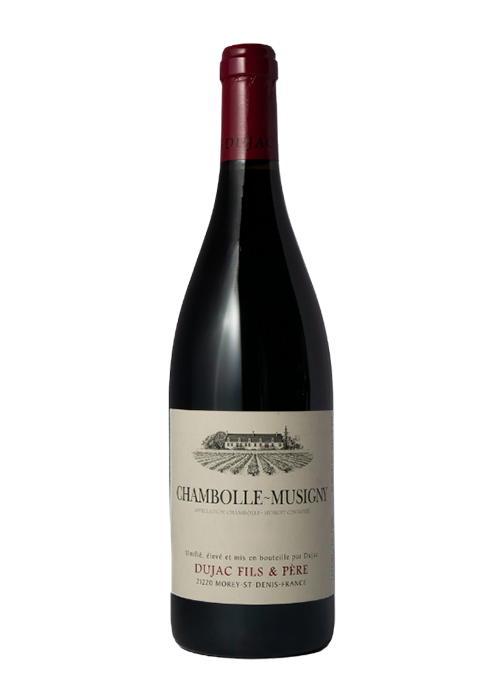 Dujac Fils et Pere Chambolle Musigny 2022