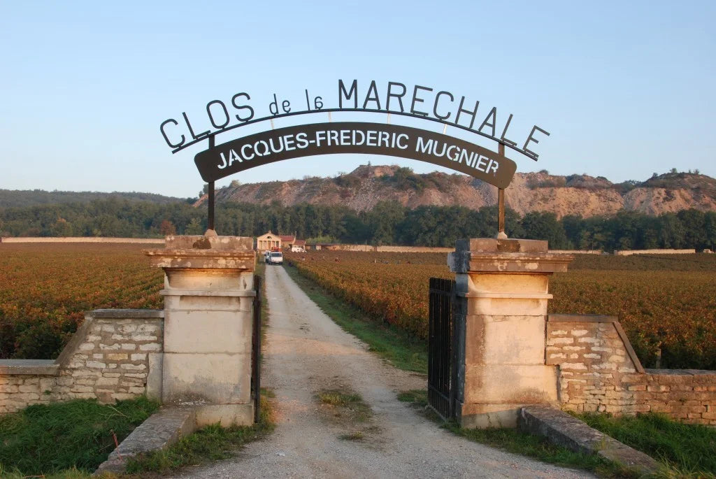 Domaine Jacques-Frédéric Mugnier dinner