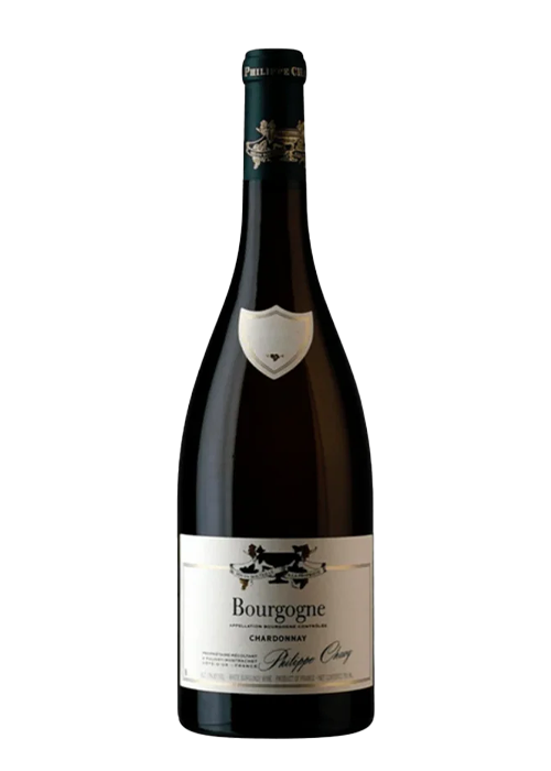 Philippe Chavy Bourgogne Blanc 2022