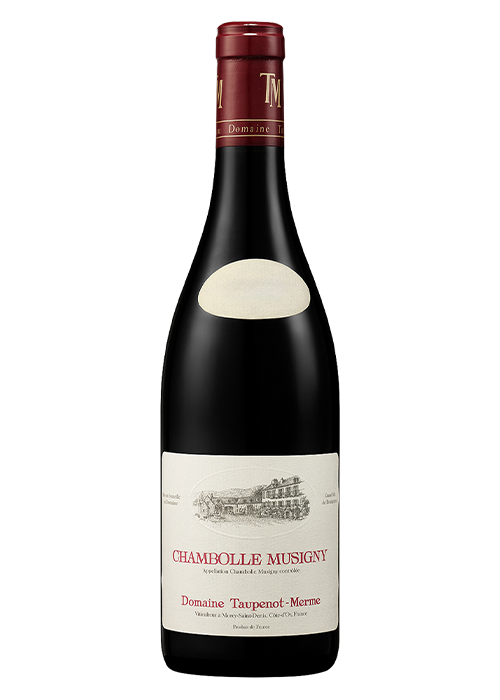 Taupenot-Merme Chambolle Musigny 2022