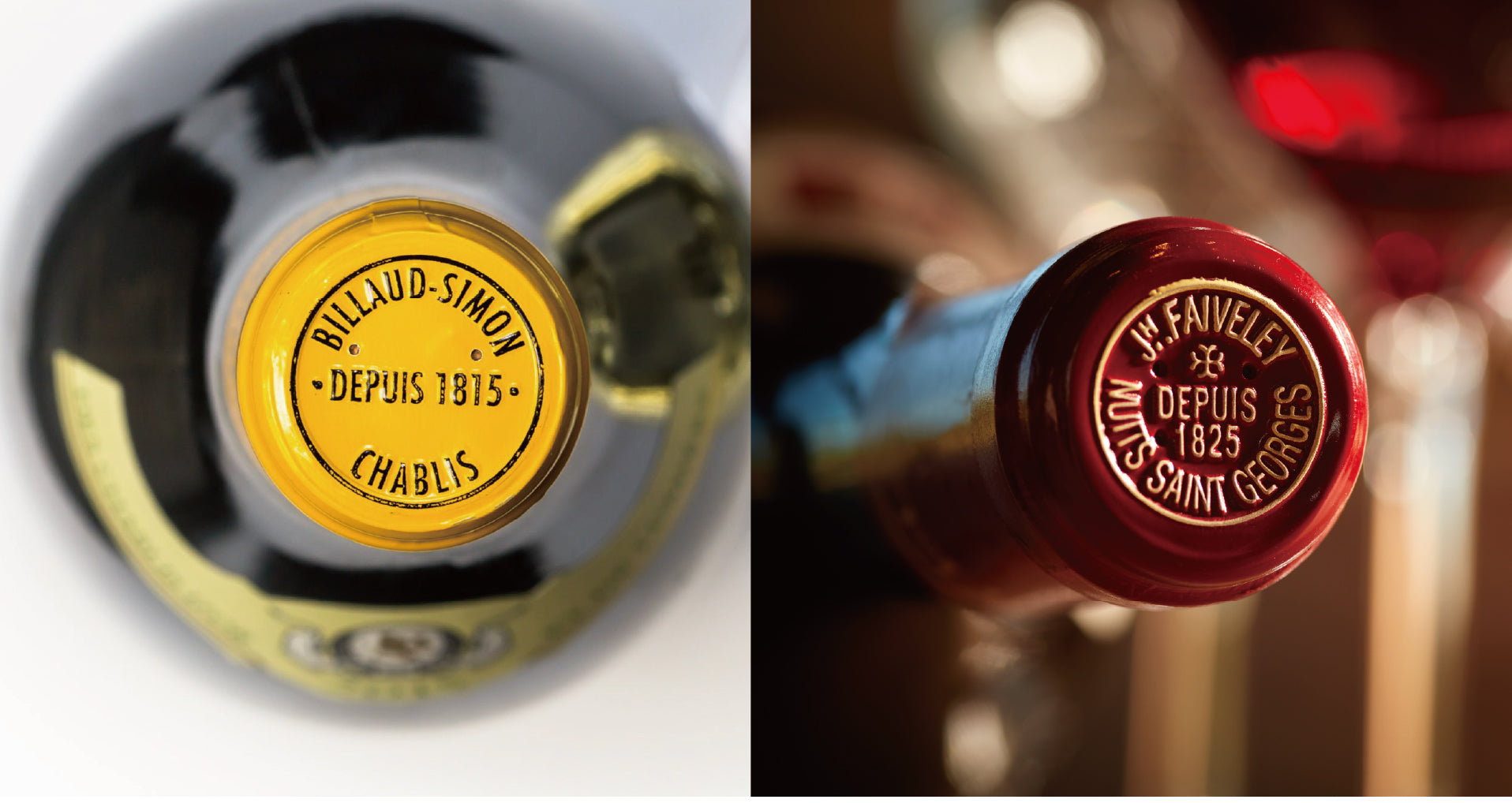 Domaine Billaud Simon & Faiveley dinner